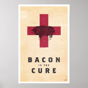 Póster El tocino es la curación