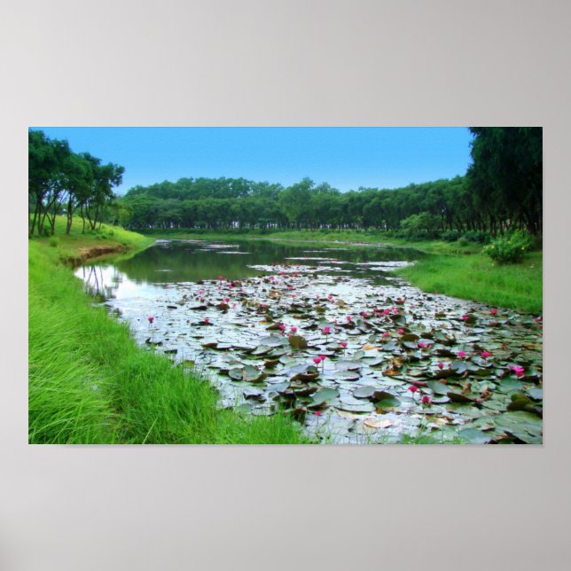 Póster El toque de la naturaleza (Frente)