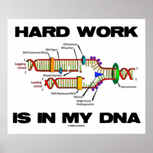 Póster El Trabajo Duro Está En Mi ADN (Replicación De ADN