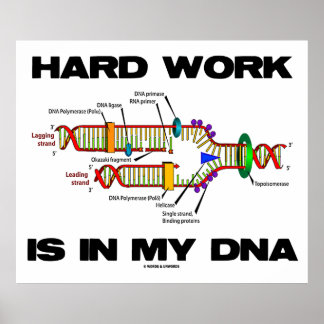 Póster El Trabajo Duro Está En Mi ADN (Replicación De ADN