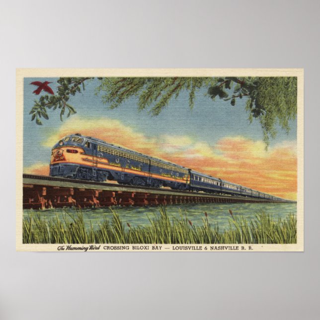 Póster El tren de las aves (Frente)