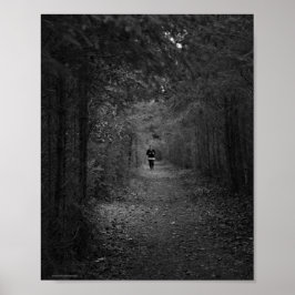 Póster El trotamundos