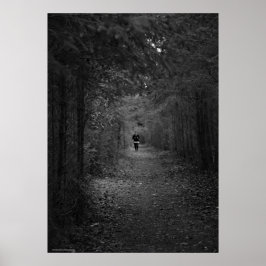 Póster El trotamundos