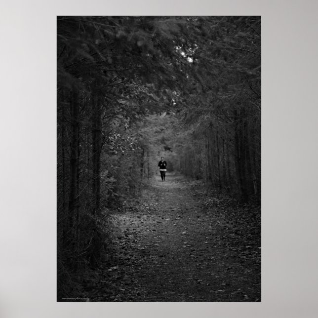 Póster El trotamundos (Frente)