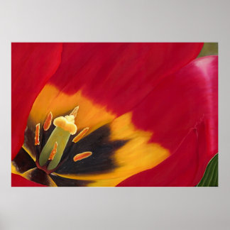 Póster El tulipán rojo