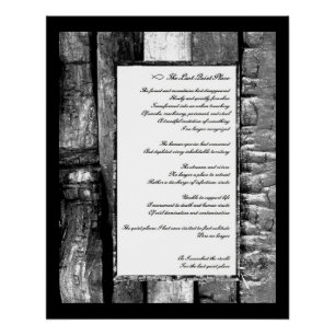 Póster El último lugar silencioso