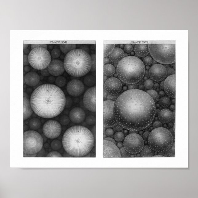 Póster El universo de Thomas Wright (Frente)