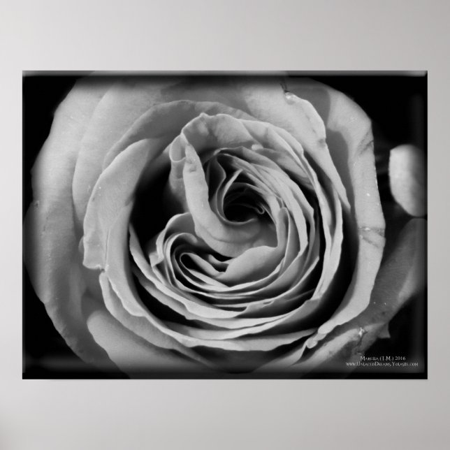 Póster El vacío (Frente)