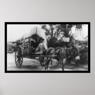 Póster El vagón de emigración mexicano de 1912