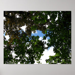 Póster El venir de los cielos azules de la ESPERANZA