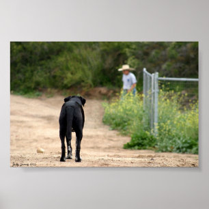 Póster El verdadero amor espera