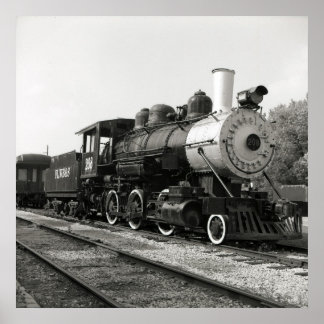 Póster El viejo 208