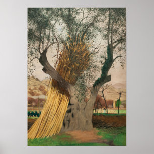 PÓSTER EL VIEJO ÁRBOL OLIVO