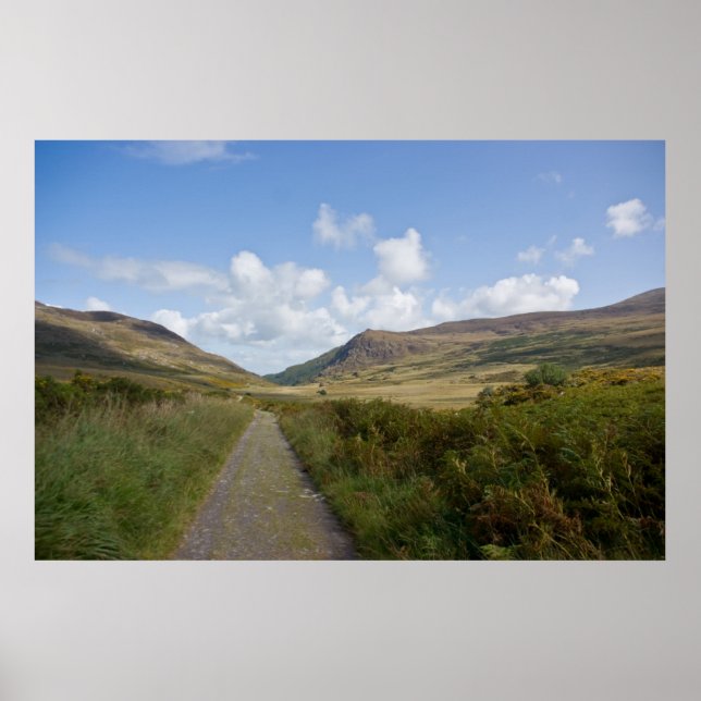 Póster El Viejo Camino Kenmare (Frente)