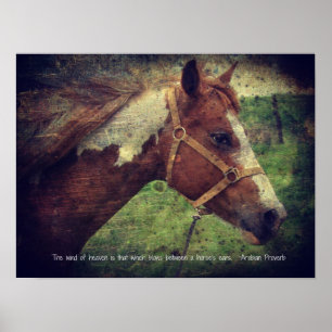 Póster El viento del cielo, flashy