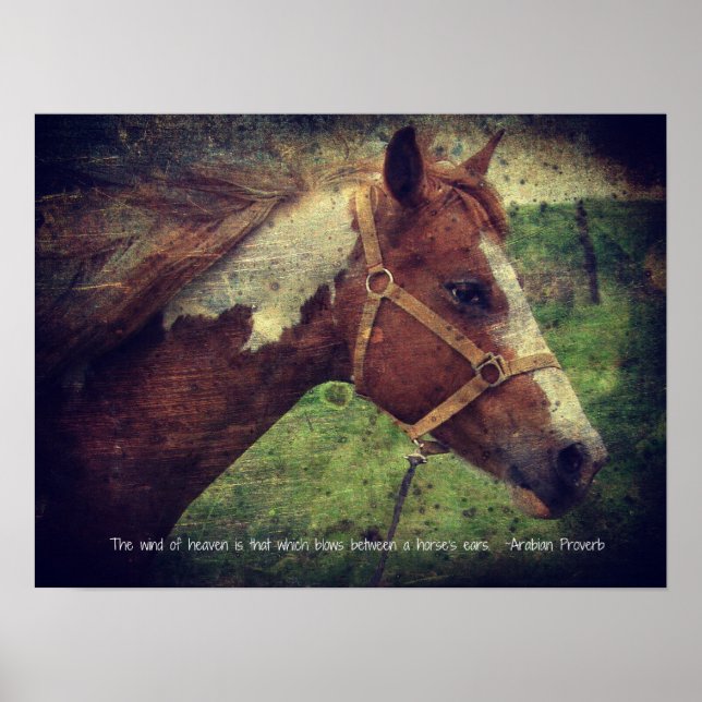 Póster El viento del cielo, flashy (Frente)