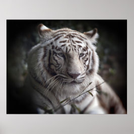 Póster El vigilante Poster de ojos del tigre