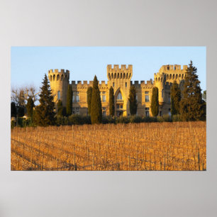 Póster El viñedo con las viñas de syrah y el castillo
