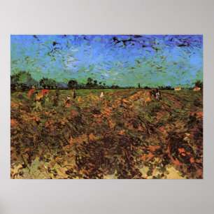 Póster El viñedo verde de Vincent van Gogh