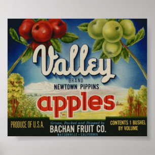 Póster El vintage Apple viejo da fruto las etiquetas del