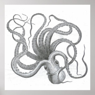 Póster El vintage náutico del pulpo del steampunk kraken