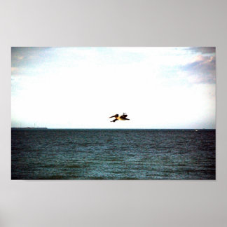 Póster El vuelo de Pelican