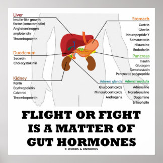 Póster El Vuelo O La Lucha Es Una Cuestión De Hormonas.