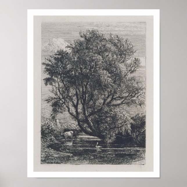 Póster El Willow (grabado) (Frente)