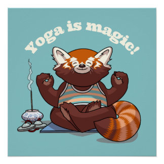 Póster ¡El Yoga del Panda Rojo es Mágico! Arte de Meditac