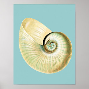 Póster El zen inspiró tema de la playa