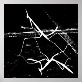 Póster El Zen Mantis