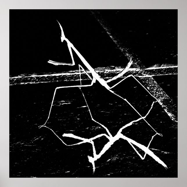 Póster El Zen Mantis (Frente)