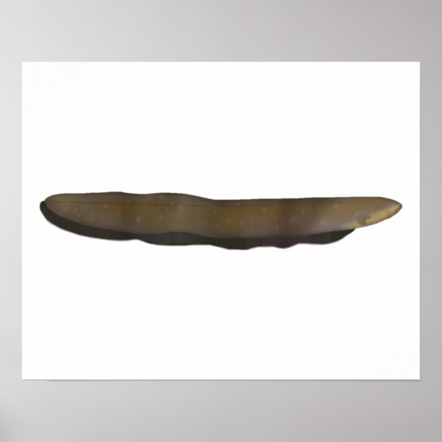 Póster Ela eléctrica (Frente)