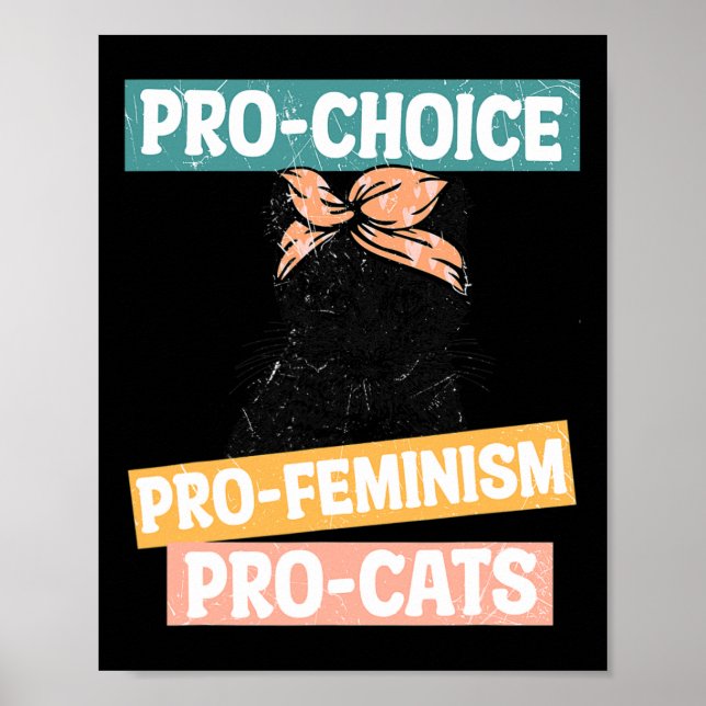 Póster Elección de Gato Feminista Madre Derechos Reproduc (Frente)