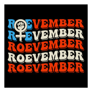 Póster Elecciones del 24 de noviembre