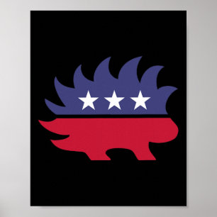 Póster Elecciones presidenciales libertarias en el distri