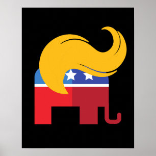 Póster Elecciones presidenciales Trump 2024