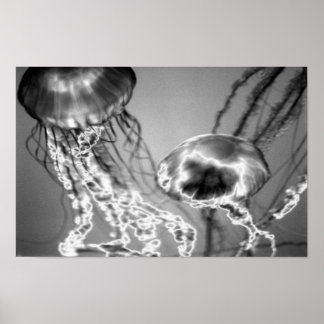 Póster Electric Jellies