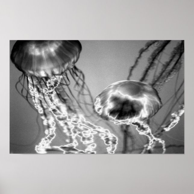 Póster Electric Jellies (Frente)