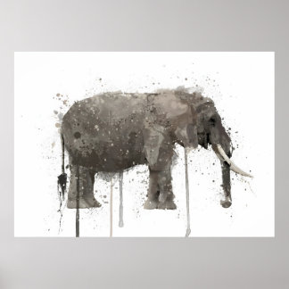 Póster Elefante