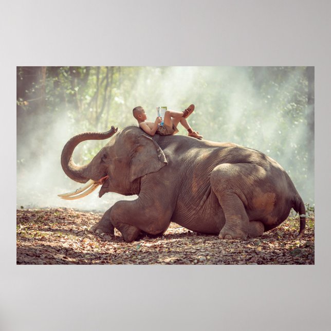 Póster Elefante (Asian boy lying on the back of an elephant, reading a book. )