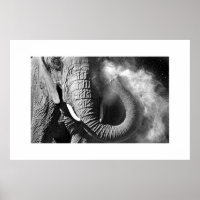 Elefante 1