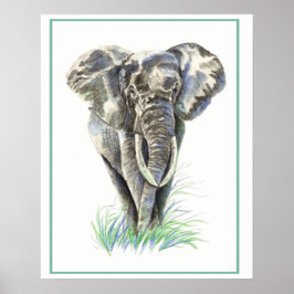 Póster Elefante acuático de la naturaleza animal