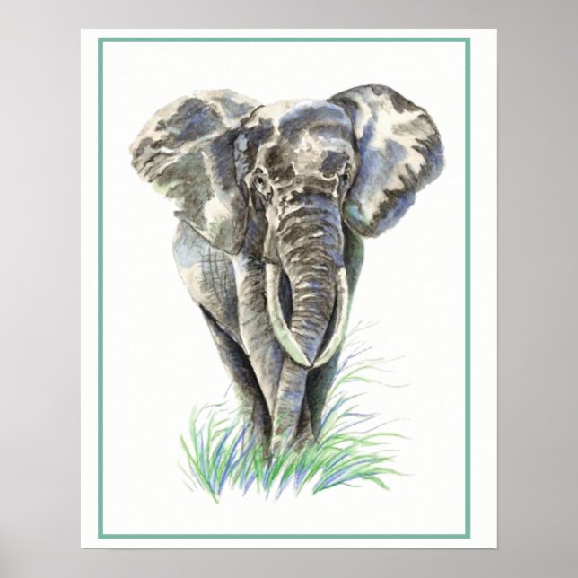 Póster Elefante acuático de la naturaleza animal (Frente)