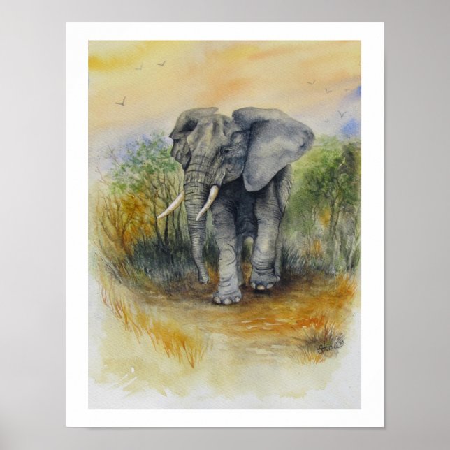 Póster Elefante africano (Frente)