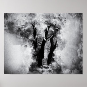 Póster Elefante africano de color blanco y negro