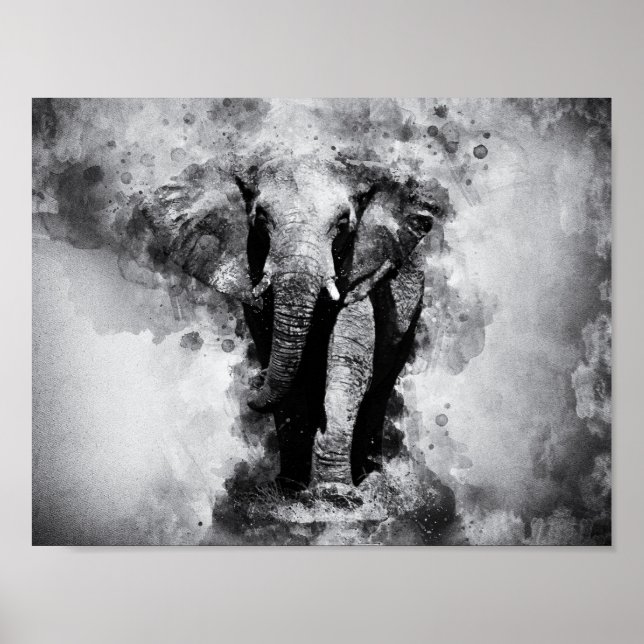 Póster Elefante africano de color blanco y negro (Frente)