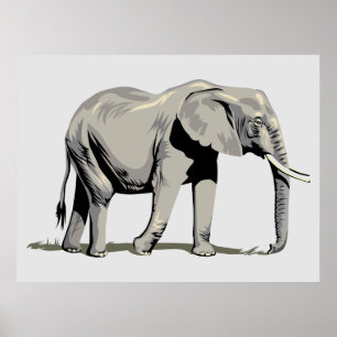 Póster Elefante animado