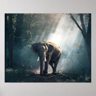 Póster Elefante asiático en un aclaramiento forestal ilum