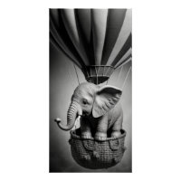 Elefante bebé en un globo de aire caliente